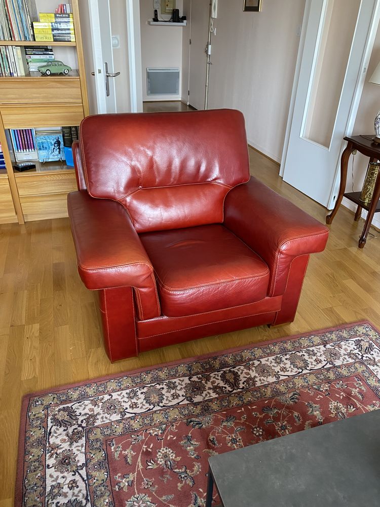 Fauteuil cuir 60 Angers (49)