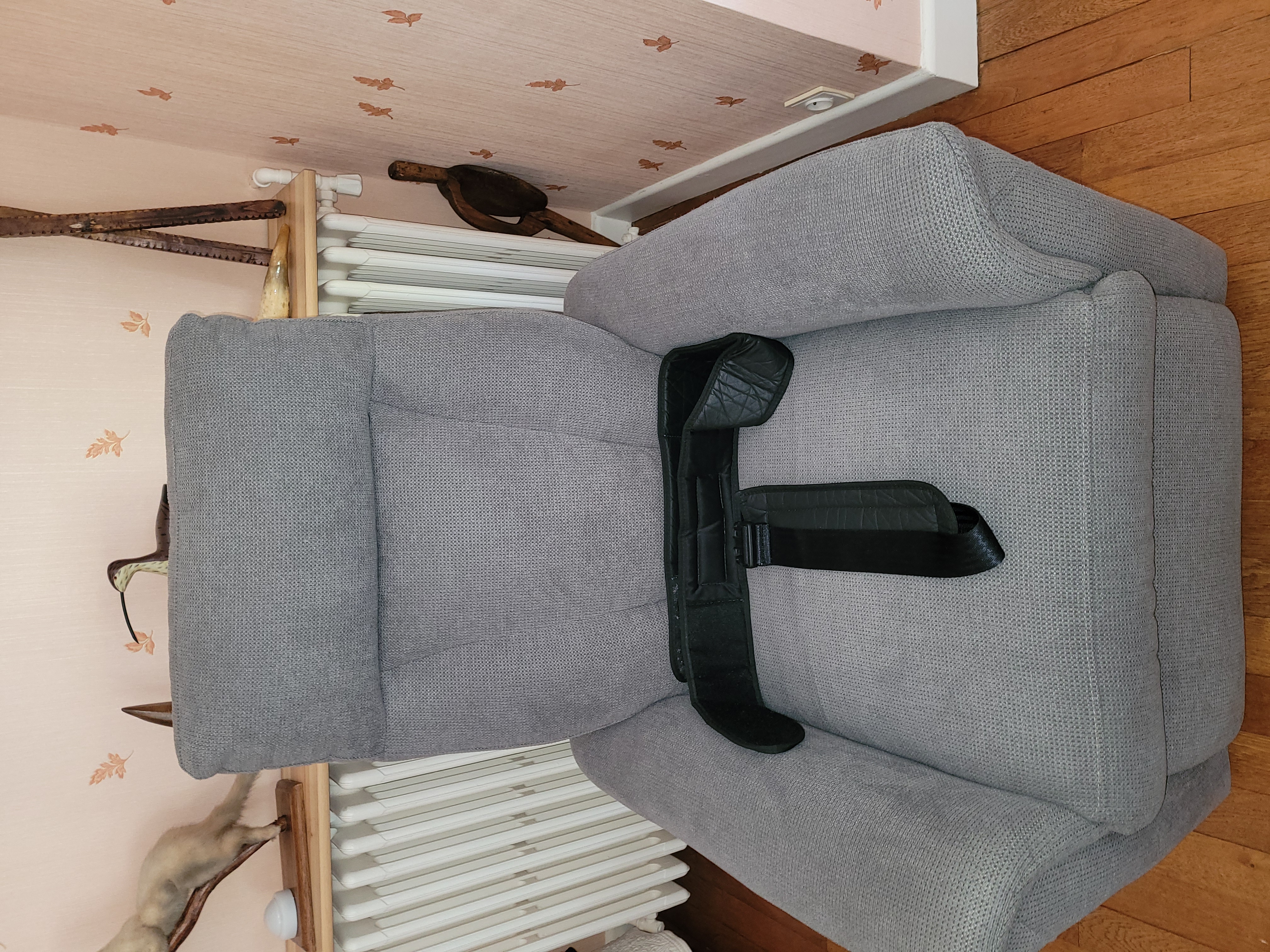 FAUTEUIL ELECTRIQUE RELEVEUR 250 Brive-la-Gaillarde (19)