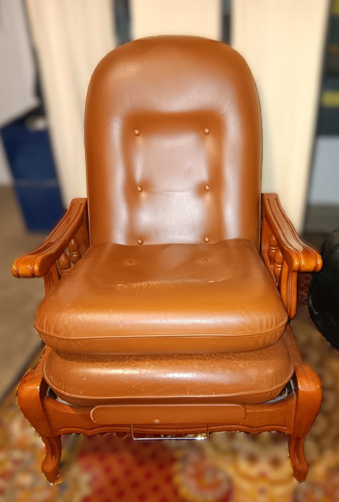 Fauteuil Everstyl en cuir 50 Vieux-Charmont (25)