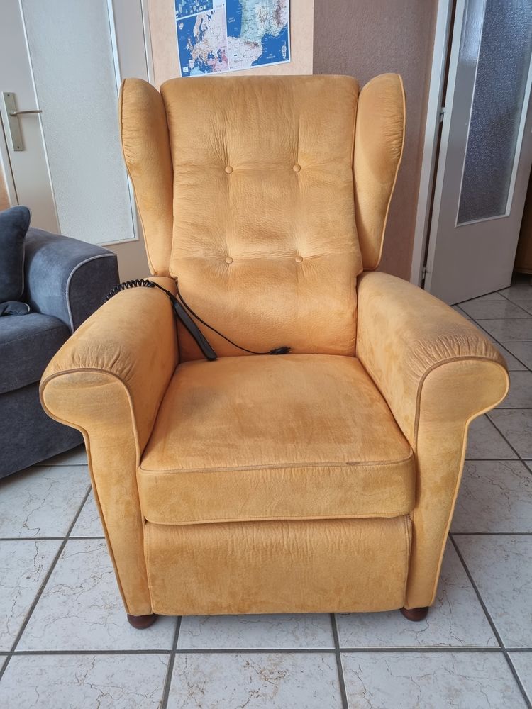 fauteuil everstyl 250 Le M�e-sur-Seine (77)
