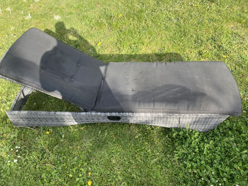 Fauteuil de jardin avec housse matelas 1m90 confortable 60 Vernouillet (28)