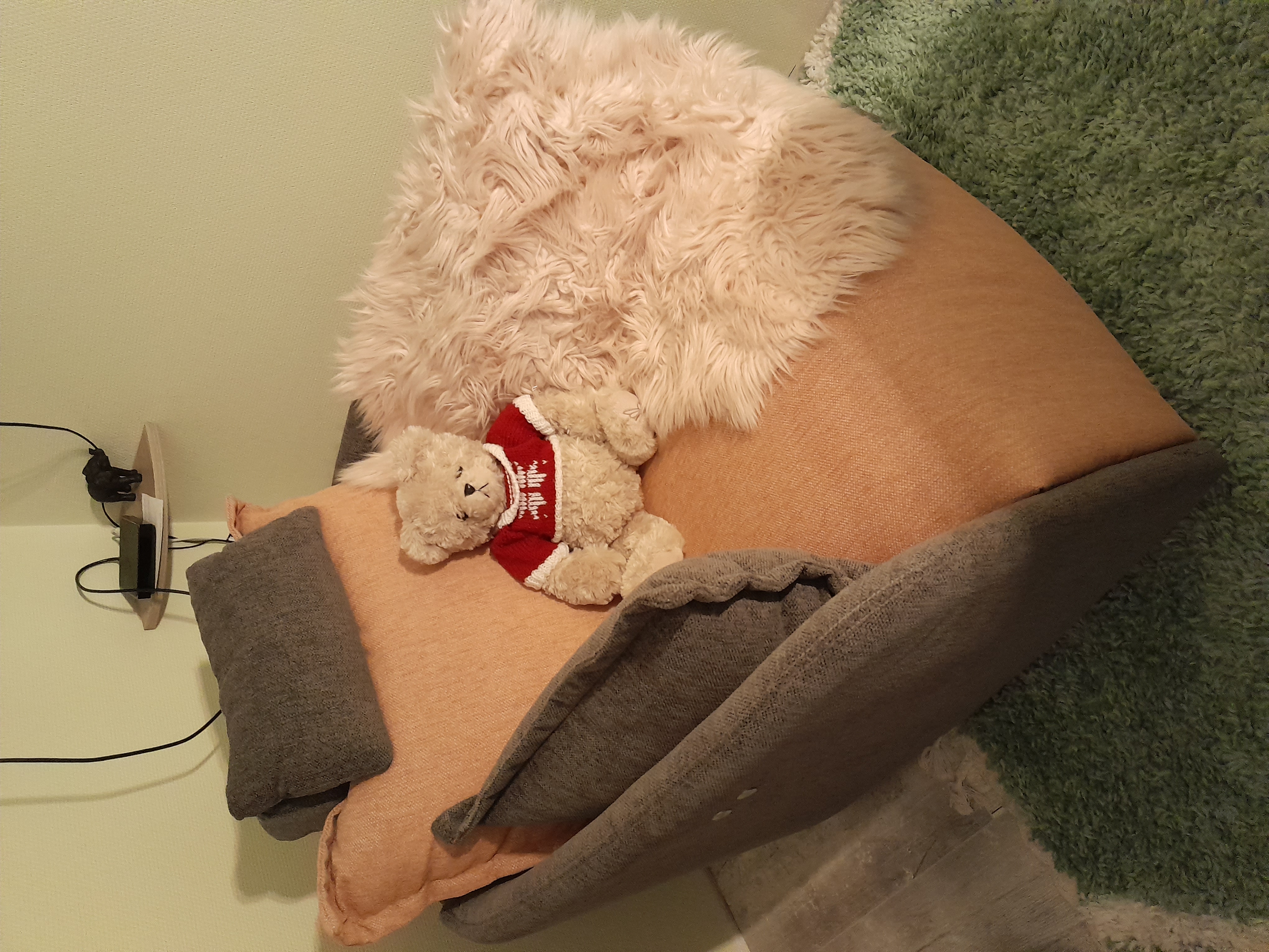 Fauteuil Relax �lectrique 1 Courson-les-Carri�res (89)