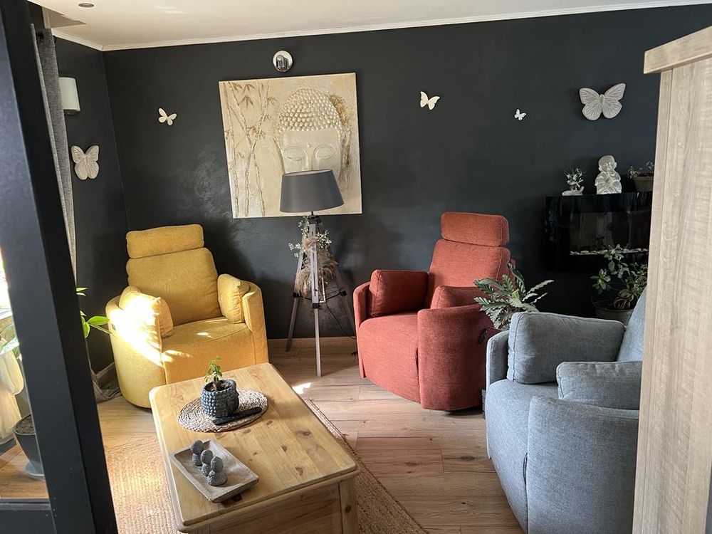 fauteuil relax electrique 300 Calonne-sur-la-Lys (62)