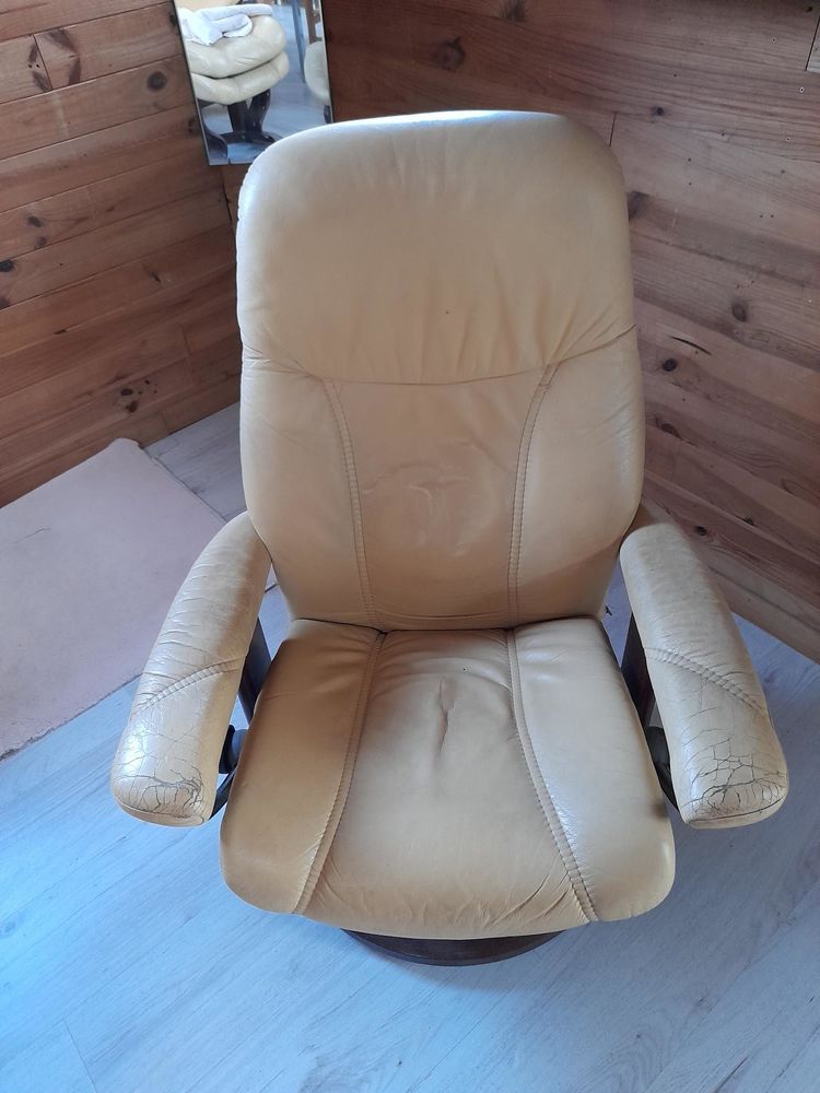 Fauteuil relax stressless cuir 20 Tourrettes-sur-Loup (06)