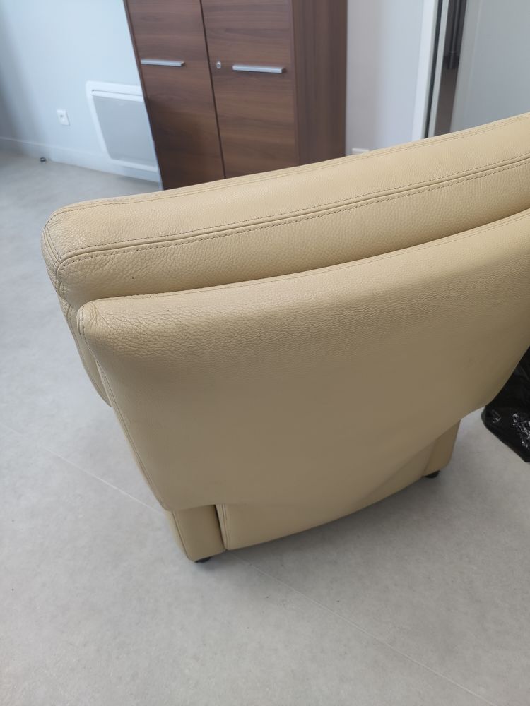 Fauteuil de relaxation cuir 150 Saint-Savinien (17)