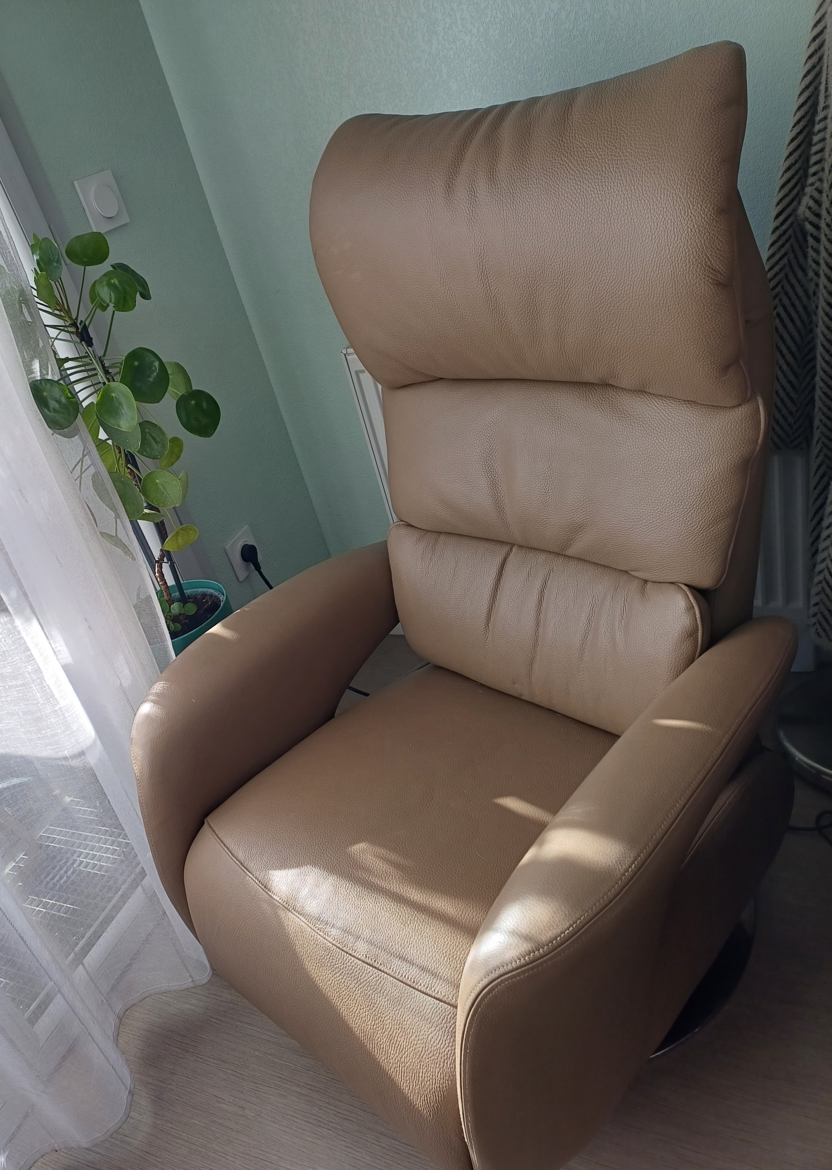 Fauteuil relaxation haut de gnamme 750 Can�jan (33)