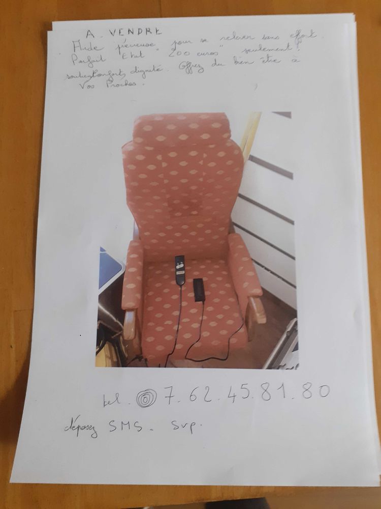 fauteuil relevable de relaxation 100 Dijon (21)