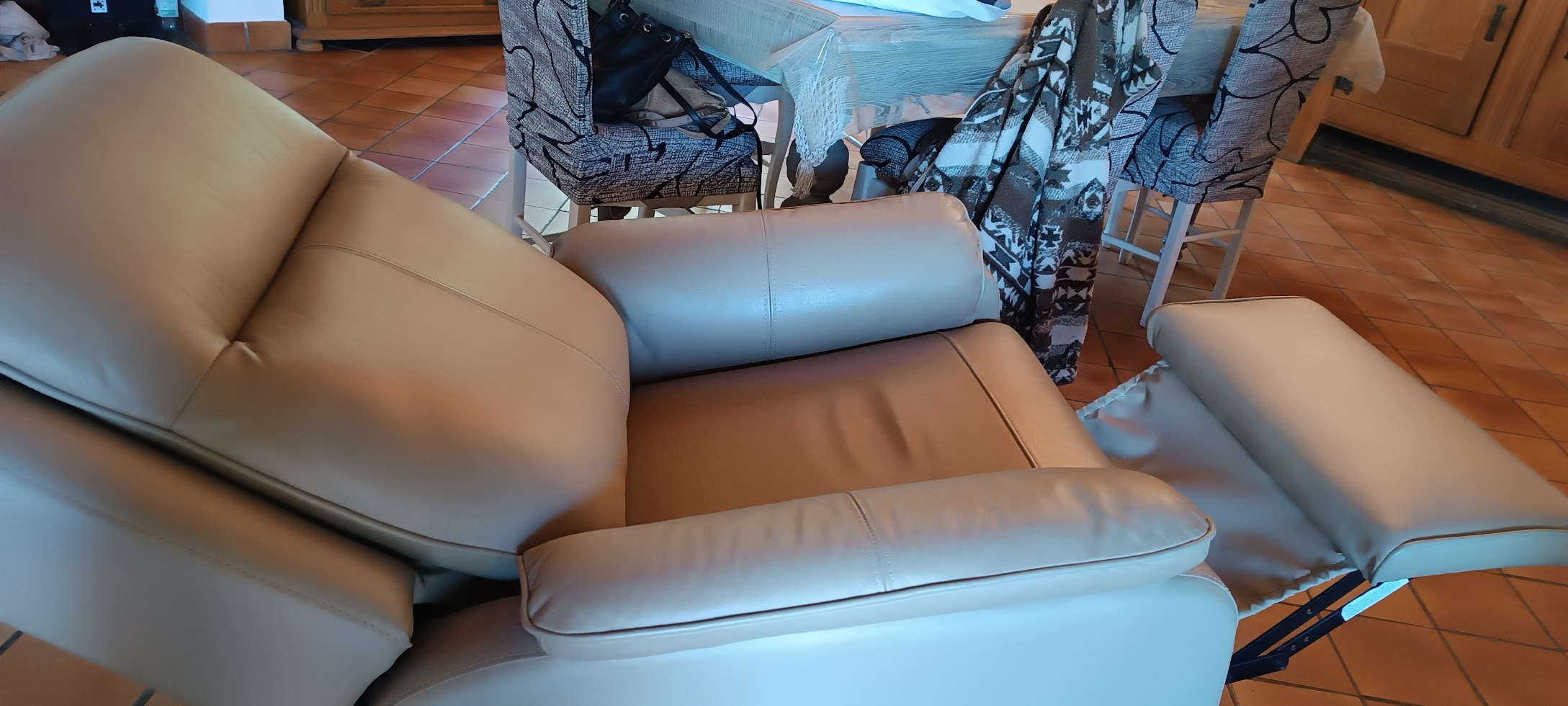 Fauteuil releveur en cuir 120 Sauve (30)