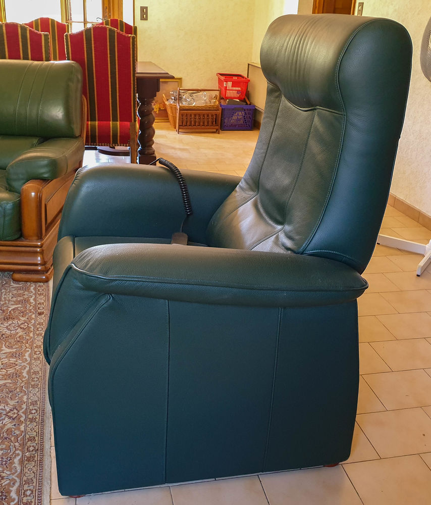 Fauteuil releveur �lectrique tout cuir 250 Saint-Chamas (13)