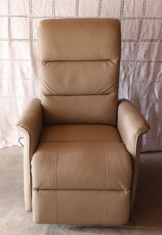 Fauteuil releveur 240 Montauban (82)