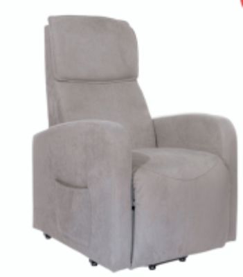 Fauteuil releveur 230 Les Sorini�res (44)