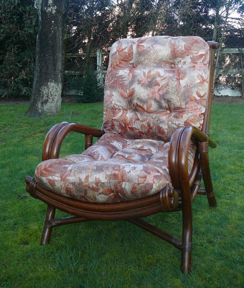 FAUTEUIL EN ROTIN DU GATINAIS 250 Saran (45)