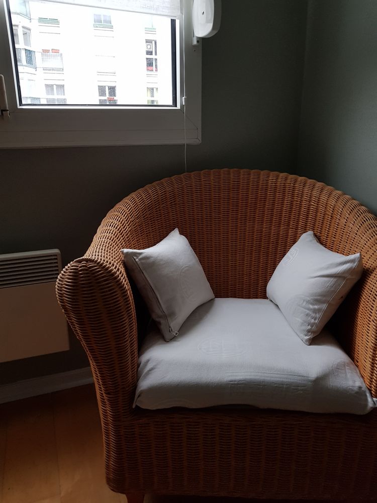 Fauteuil en rotin 150 Paris 19 (75)