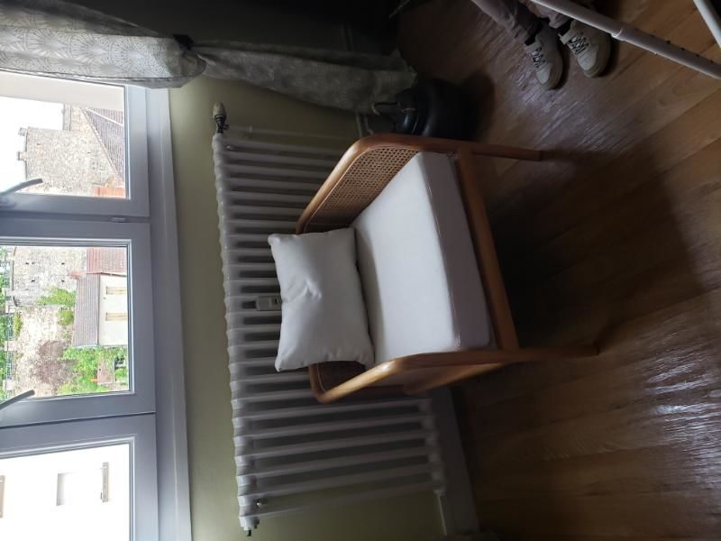 FAUTEUIL ROTIN 250 Montlu�on (03)