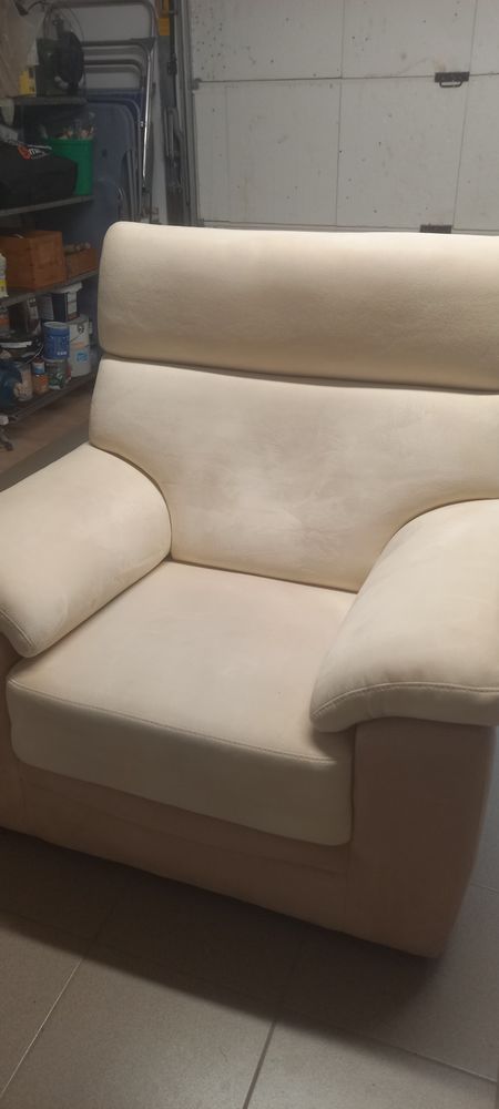 fauteuil de salon 50 Reyrieux (01)