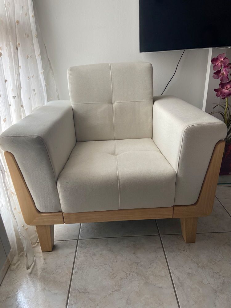 Fauteuil scandinave 170 Perpignan (66)