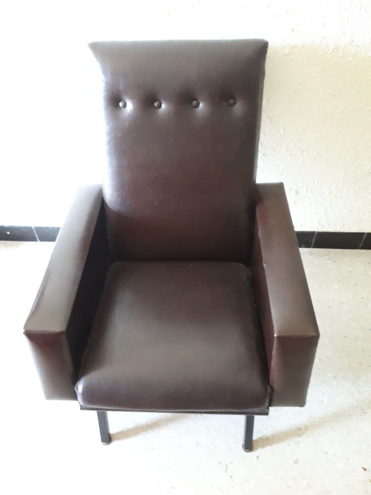 Fauteuil skai vintage 50 Salaise-sur-Sanne (38)
