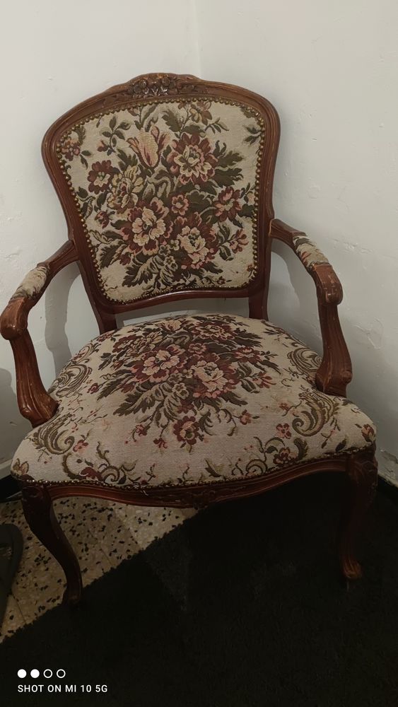 Fauteuil style Louis XVI 40 Al�s (30)