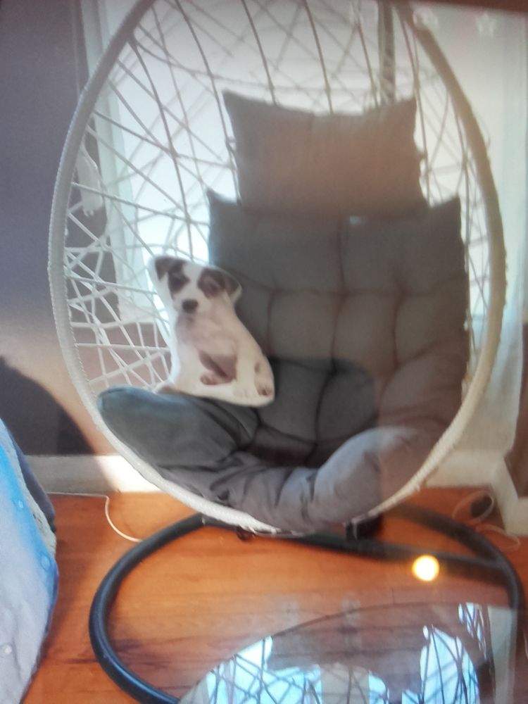 fauteuil suspendu rotin blanc 100 �couen (95)