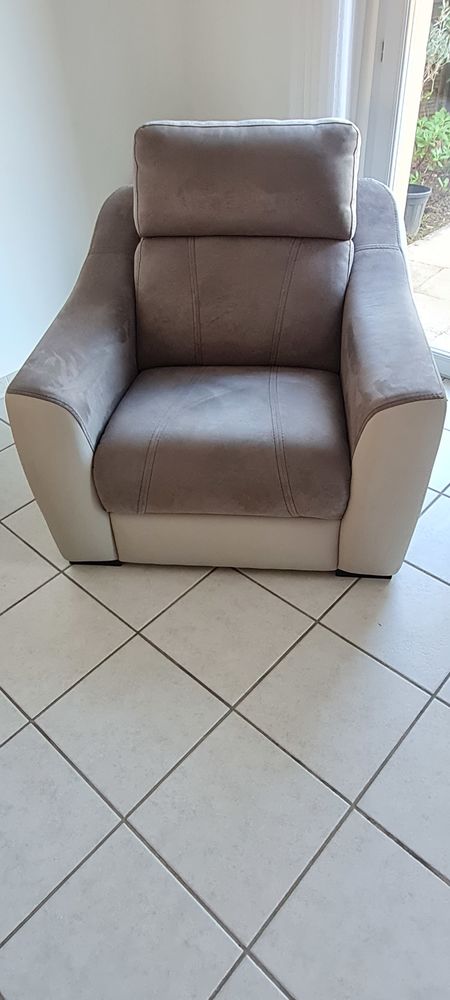Fauteuil tissus tr�s bon �tat 100 Neuville-sur-Sa�ne (69)