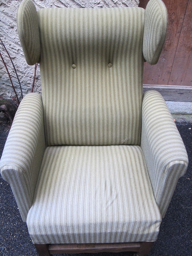 Fauteuil velours - Accoudoirs amovibles - Oreilles 75 Parent (63)