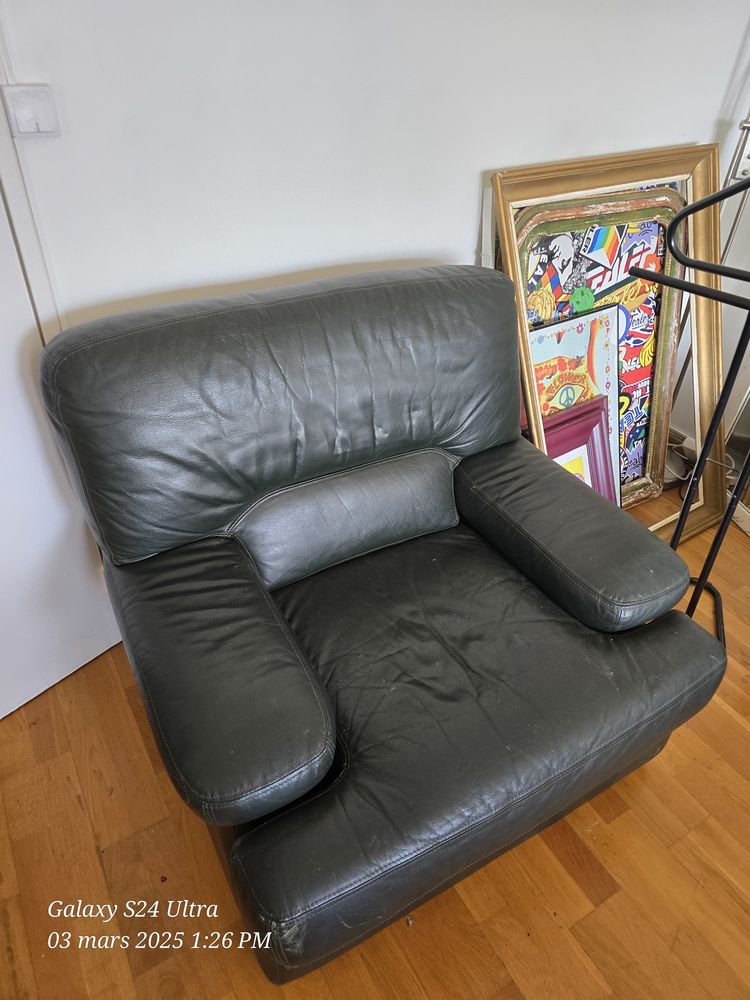 2 fauteuil vintage cuir vert 100 Saint-Palais-sur-Mer (17)