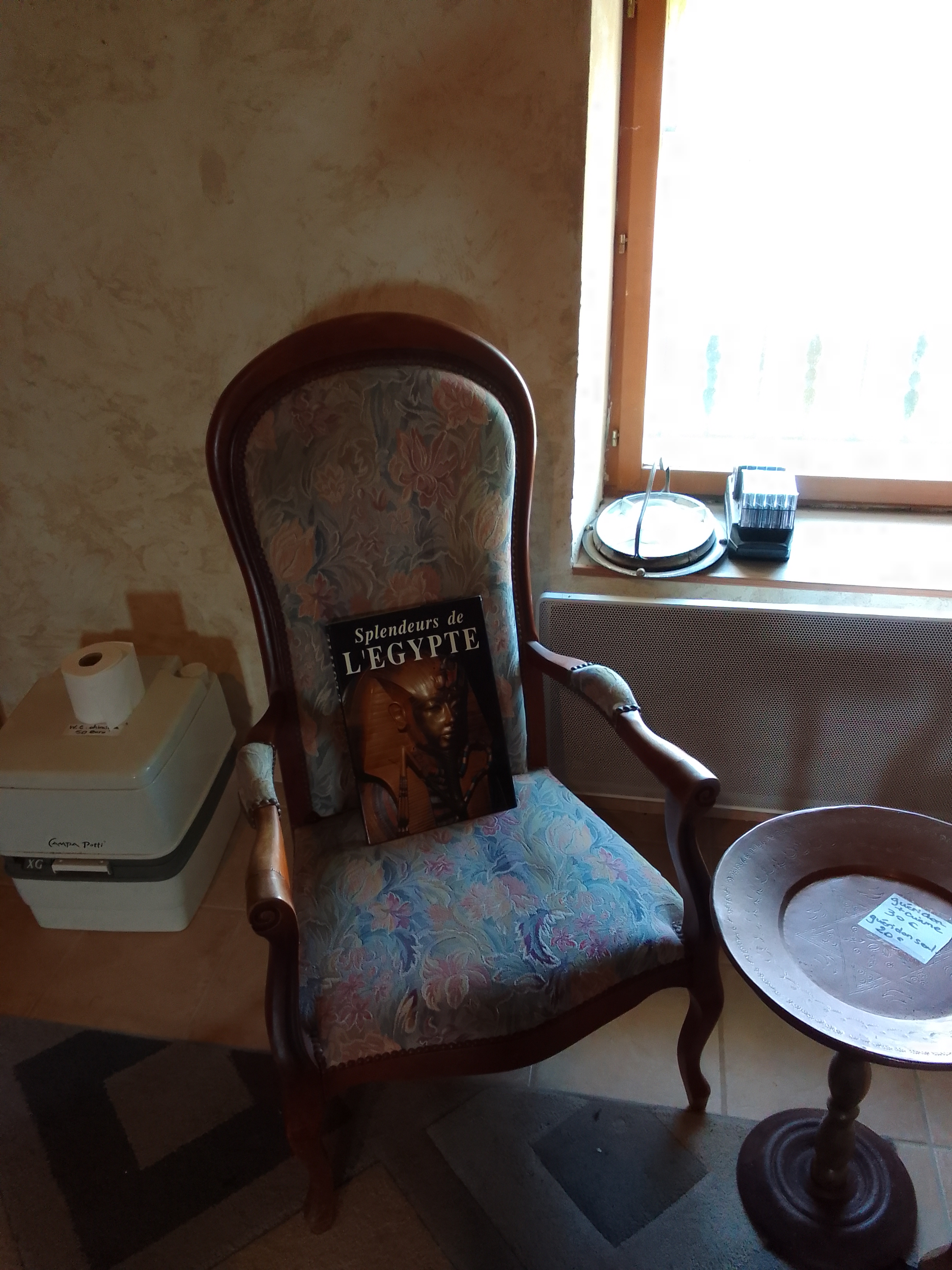 Fauteuil (s) Voltaire 50 Champs-sur-Marne (77)