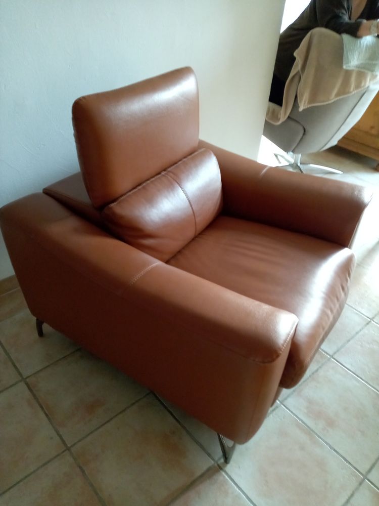 fauteuil 250 Le Puy-Sainte-R�parade (13)