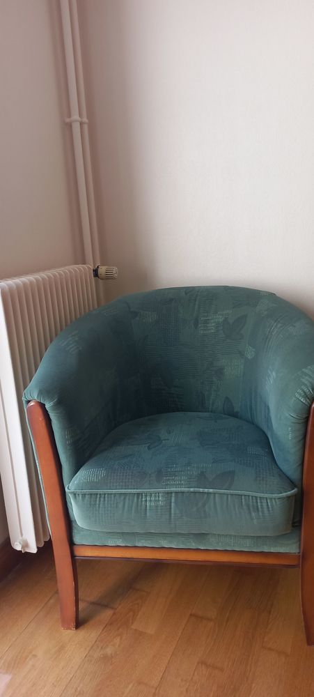 fauteuil 45 Fleury-les-Aubrais (45)