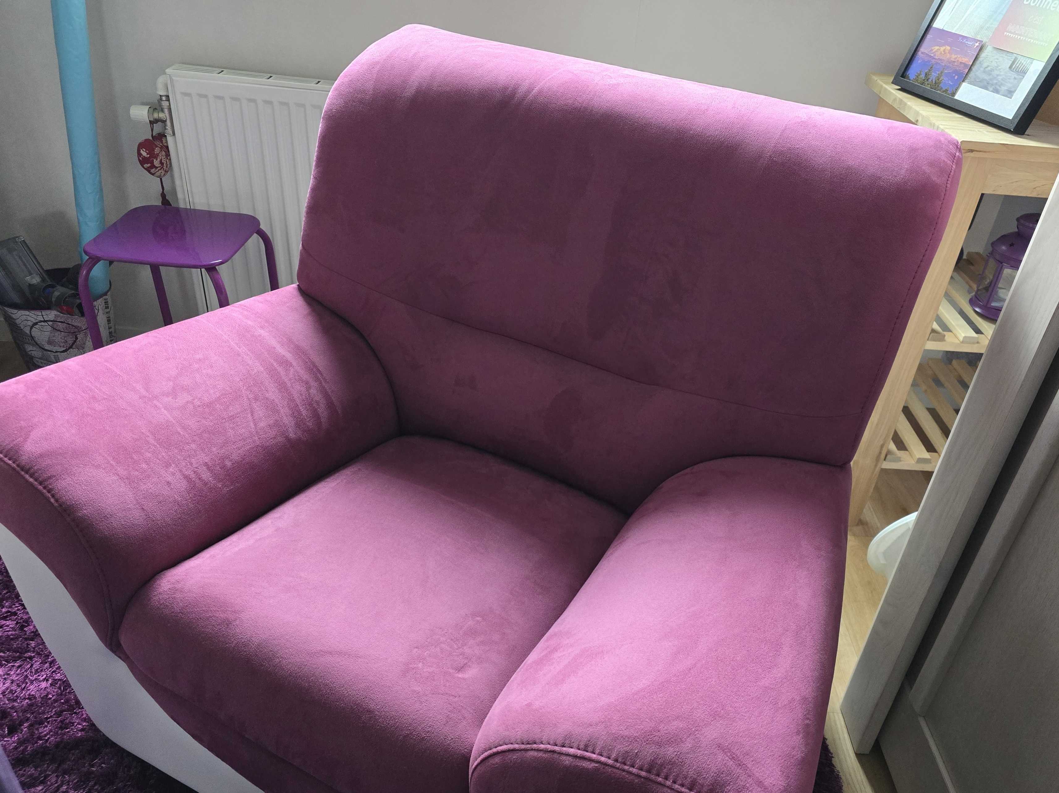 fauteuil 150 Dijon (21)