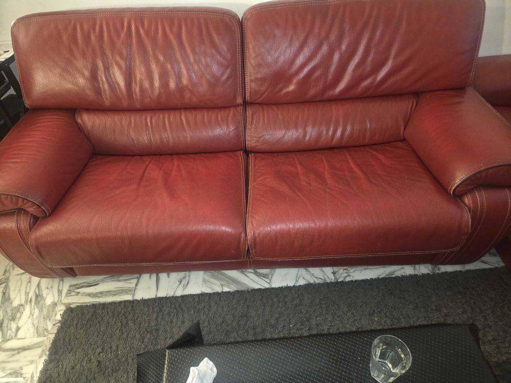 fauteuil 250 Nice (06)