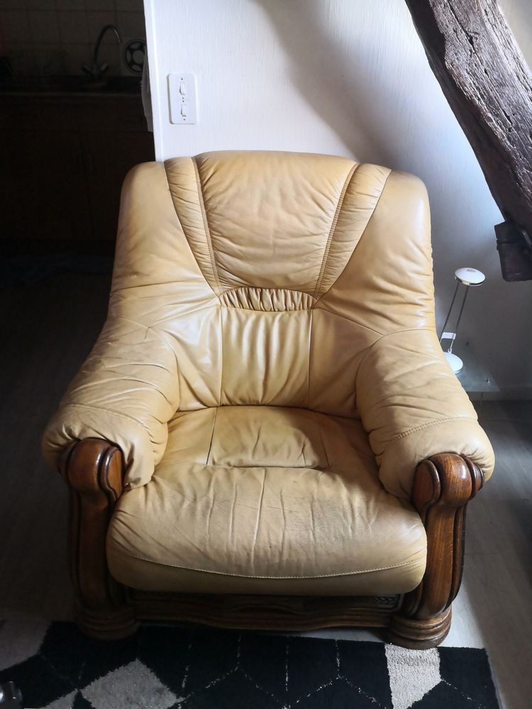 2 Fauteuils en cuir avec tiroir 130 Troyes (10)