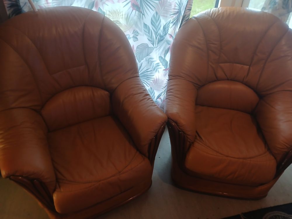 2 fauteuils cuir maron 60 Bourgueil (37)