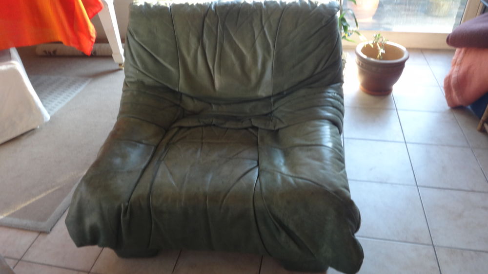Fauteuils en cuir teint�s vert 200 Pontivy (56)