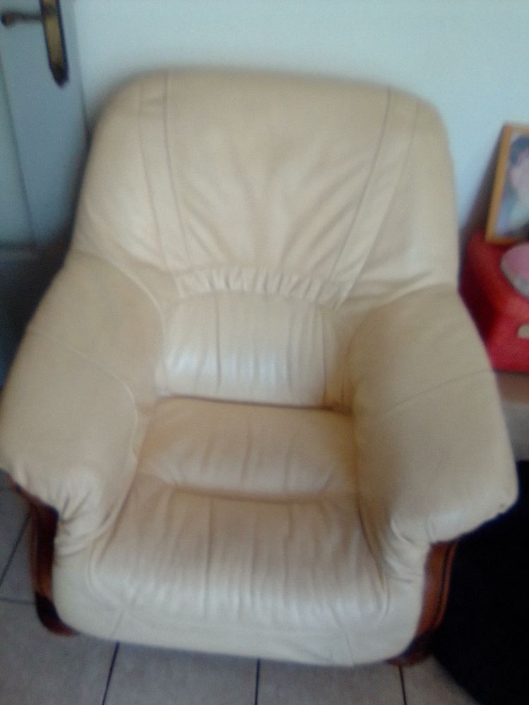 Fauteuils cuir 120 D�cines-Charpieu (69)