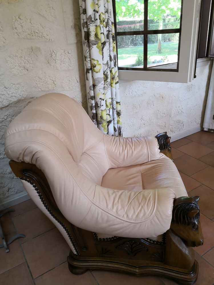 lot de 2 fauteuils en cuir () 200 Audenge (33)