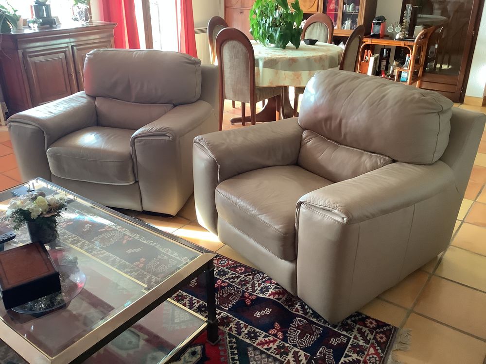 2 fauteuils en cuir 300 Cagnes-sur-Mer (06)