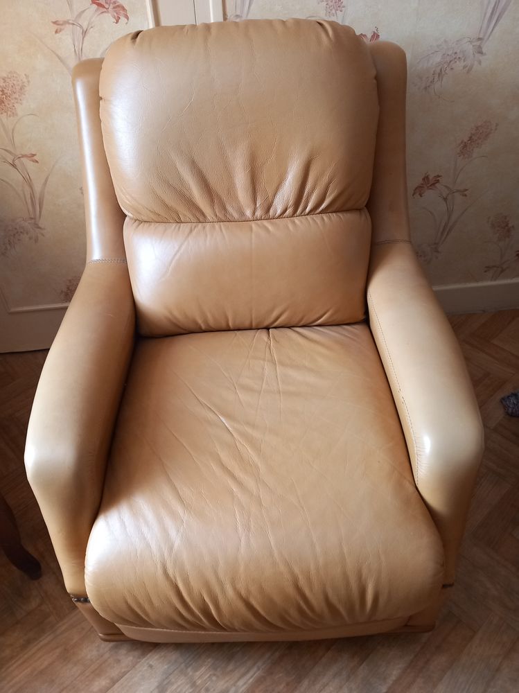 FAUTEUILS CUIR 80 Luzy (58)
