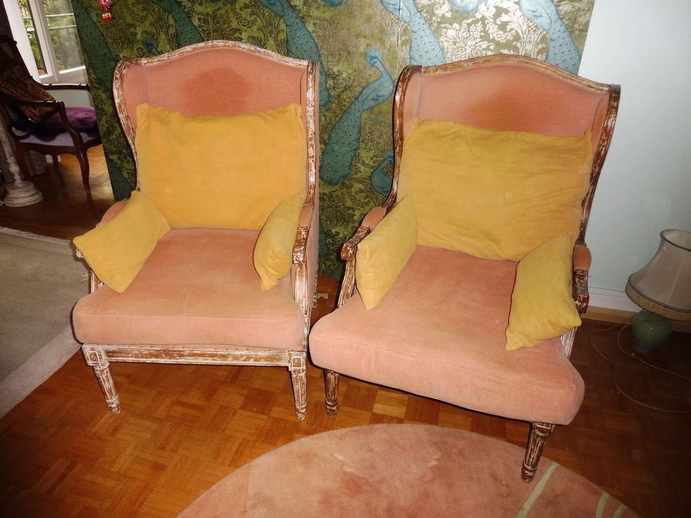2 fauteuils Diderot 1400 Paris 17 (75)