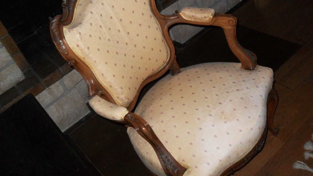 Lot de 2 fauteuils Louis XV 30 Alignan-du-Vent (34)