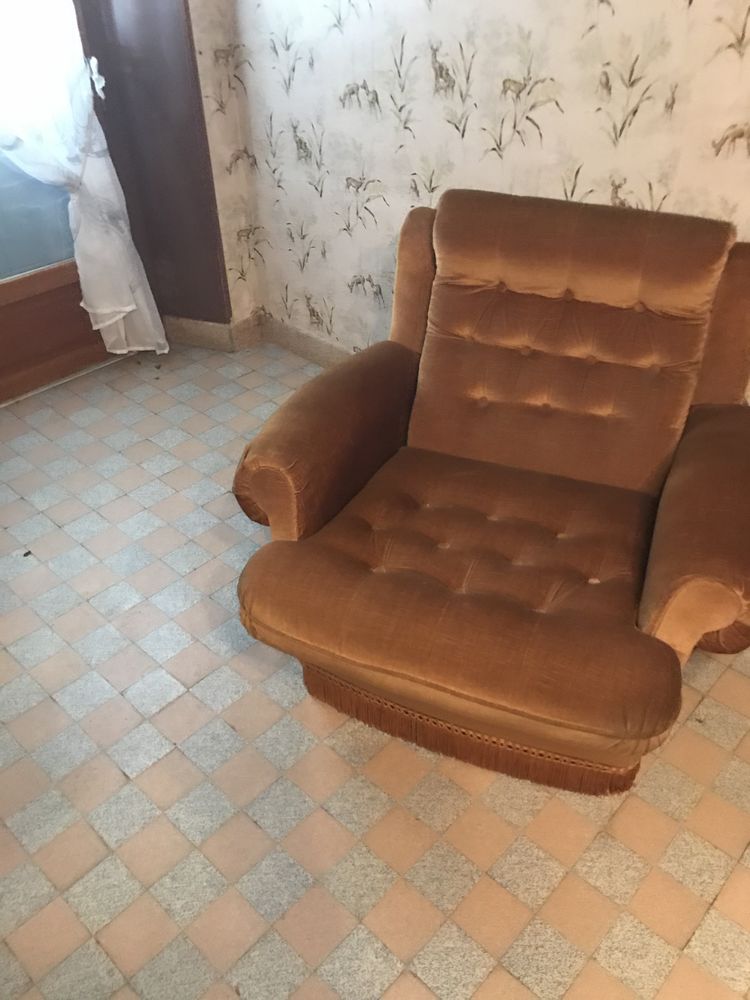 2 Fauteuils de salon 70 Saint-Martin-du-Tertre (89)