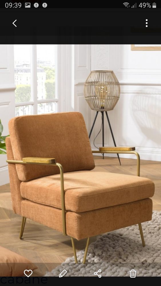 2 fauteuils  velours 450 Aiguefonde (81)