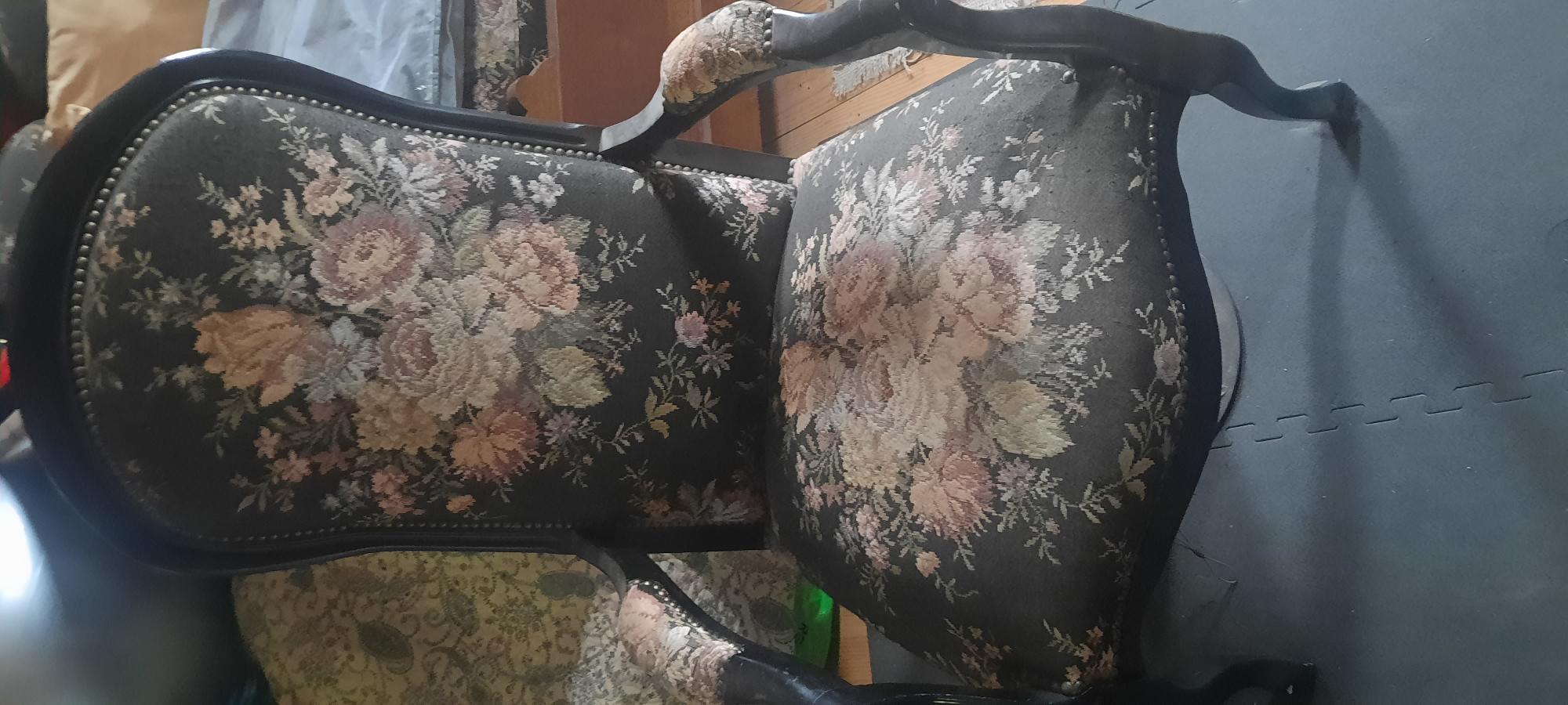 Lot de 2 fauteuils voltaire 300 Arzens (11)