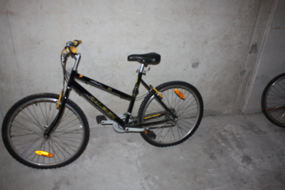 VTT FEMME RALEIGHT 100 Fr�jus (83)