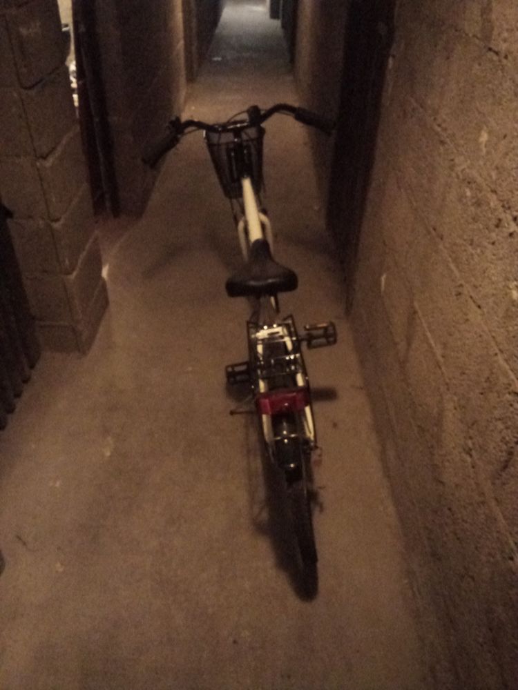 VTT femme 60 Verdun (55)