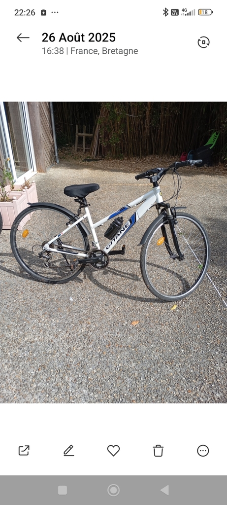 VTC femme 80 Plougastel-Daoulas (29)