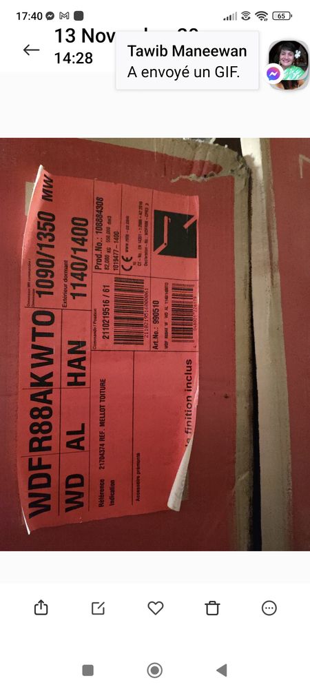 Fen�tre de toit roto pvc 500 Vasperviller (57)