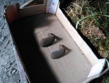 Fers � vaches 0 Vertaizon (63)