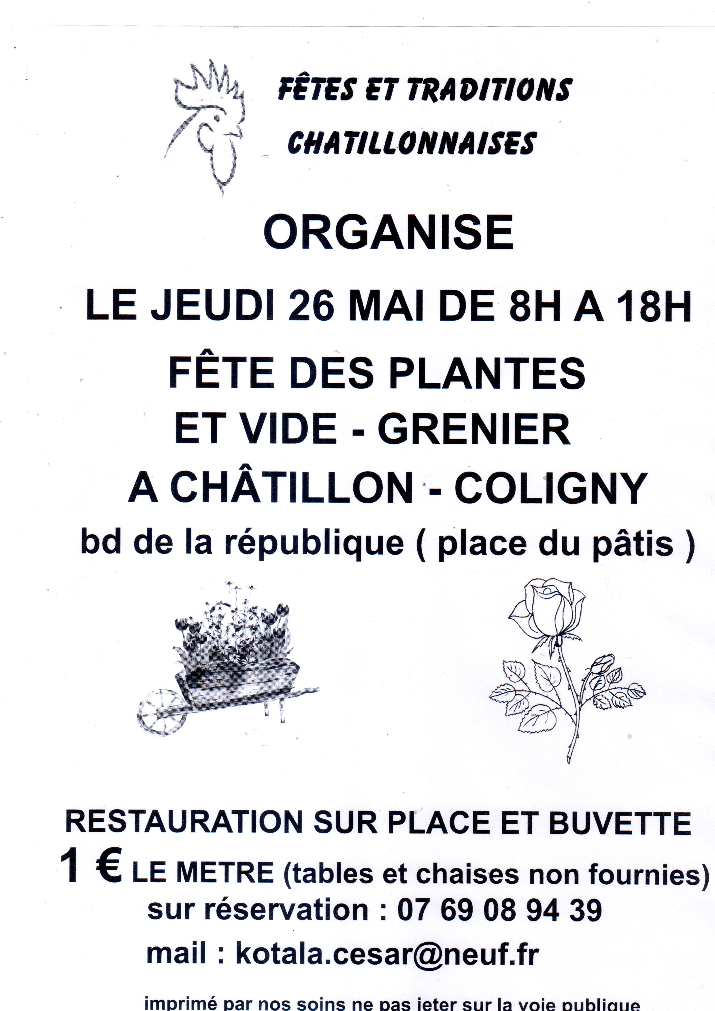 fête des plantes et vide grenier 0 Châtillon-Coligny (45)