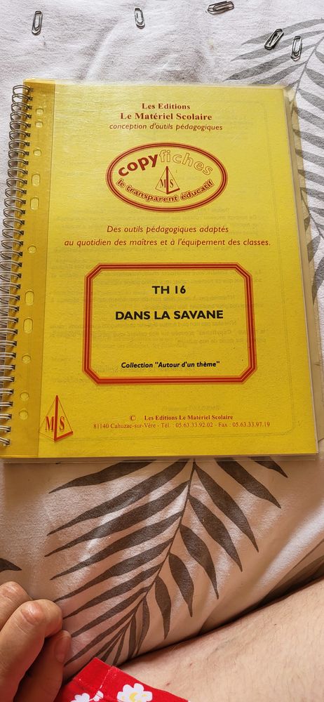 Fichier photocopiable copyfiches Dans la savane maternelle 7 Avesnes-sur-Helpe (59)